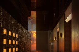 adf-web-magazine-kylin-sheng-1