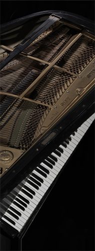 adf-web-magazine-icc-sakamoto-tribute-3