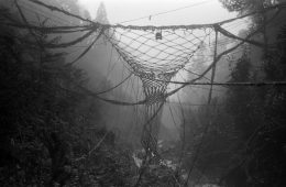 adf-web-magazine-amatsuchi-kosaku-shizuoka-1