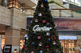 adf-web-magazine-christmas-trees-in-tokyo-2023-01