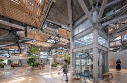 adf-web-magazine-morishita-see-sea-park-1