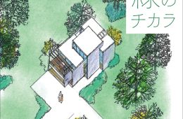 adf-web-magazine-sketch-midori-1