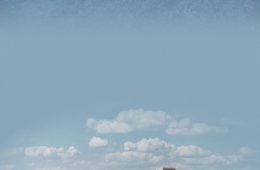 adf-web-magazine-the-ecology-of-possibility-1