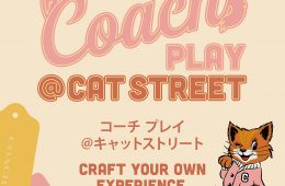 adf-web-magazine-coach-play-cat-street-1