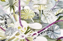 adf-web-magazine-hamaguchi-ayano-wish-less-1