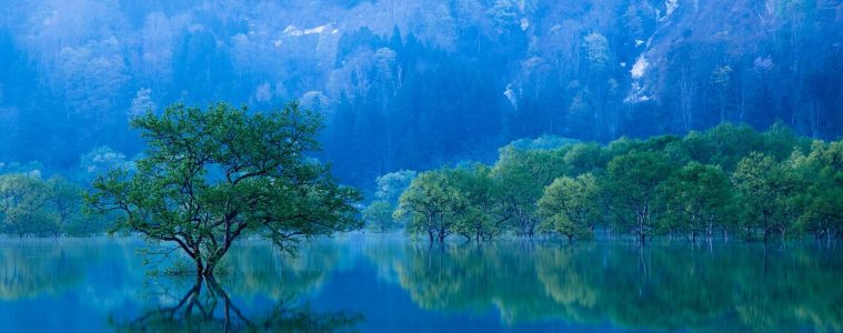 adf-web-magazine-photo-contest-iidemachi-2