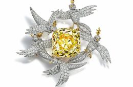 adf-web-magazine-tiffany-wonder-1