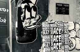 adf-web-magazine-ace-scenic-route-wishless-1