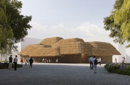 adf-web-magazine-kuma-aso-green-stock-1