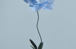 adf-web-magazine-megumi-shinozaki-window-1