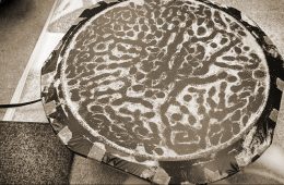 adf-web-magazine-meta-flower-kuma-gallery-1