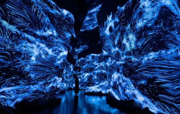 teamLab Opens First “teamLab Borderless” in the Middle East in Saudi ...