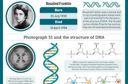 adf-web-magazine-womens-invention-01