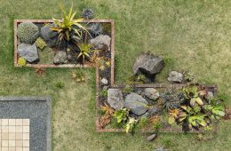 adf-web-magazine-cactus-store-yoshimura-1