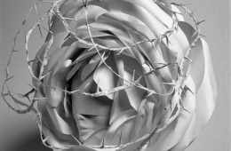 adf-web-magazine-kamo-head-mimoca-1