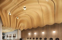 adf-web-magazine-arch-type-buffalo-1