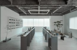 adf-web-magazine-so-koizumi-1