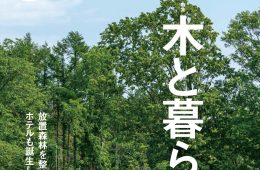 adf-web-magazine-discover-japan-life-with-tree-1