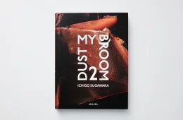 adf-web-magazine-dust-my-broom-2-1