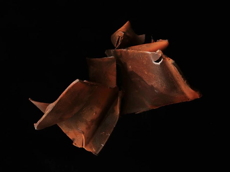 adf-web-magazine-dust-my-broom-2-2