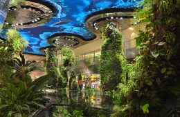 adf-web-magazine-garden-city-34