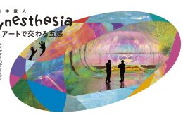 adf-web-magazine-okunaka-akihito-synesthesia-6