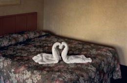 adf-web-magazine-alec-soth-top-museum-1