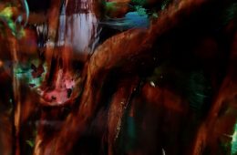 adf-web-magazine-kuma-gallery-ayumi-okita-1