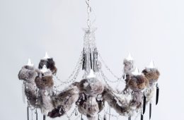 adf-web-magazine-shinohara-frozen-supermarkets-10