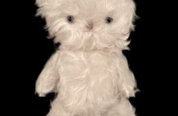 adf-web-magazine-heidi-night-night-4