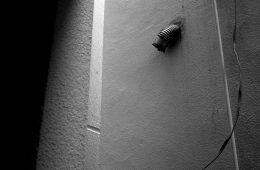 adf-web-magazine-steve-jansen-new-1