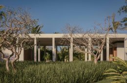 adf-web-magazine-brandilera-house-1