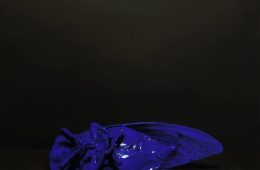 adf-web-magazine-artdyne-wings-kihara