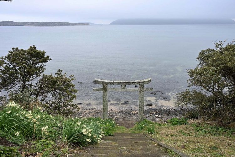 adf-web-magazine-sarai-june-3