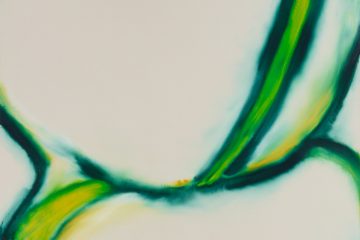 adf-web-magazine-30th-mot-collection-2