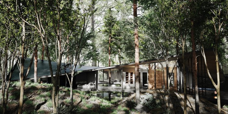 adf-web-magazine-forest-within-1