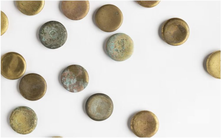 adf-web-magazine-toyama-tullys-13