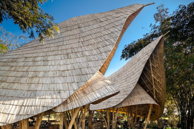 adf-web-magazine-zabb e-lee-cooking-schoo-4