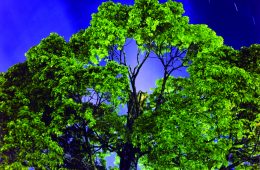 adf-web-magazine-katsumata-koki-arts-1