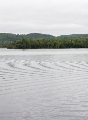 adf-web-magazine-poisson-blanc-regional-park-15