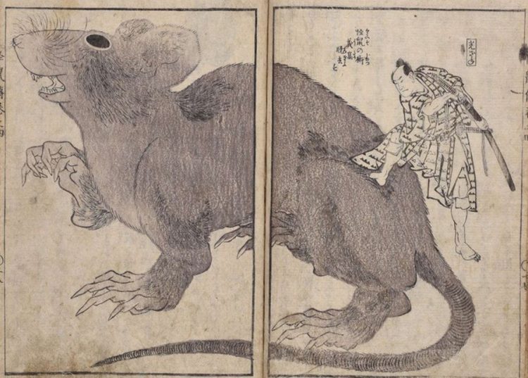 adf-web-magazine-hokusai-shimane-museum-3