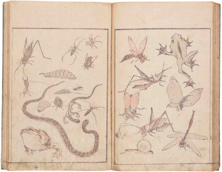 adf-web-magazine-hokusai-shimane-museum-5