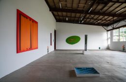 adf-web-magazine-narita-calm-punk