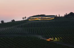 adf-web-magazine-sauska-tokaj-winery-17