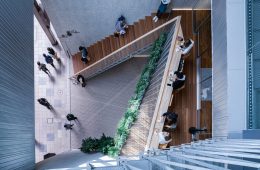 adf-web-magazine-tanuki-noboru-bldg-4