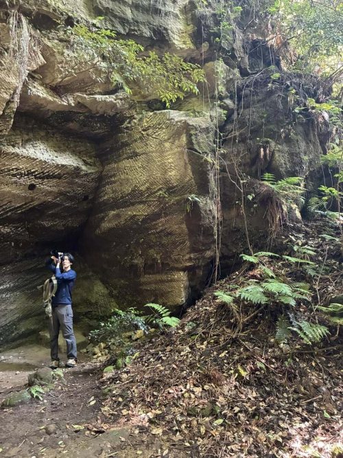 adf-web-magazine-shiibashi-kamakura-4