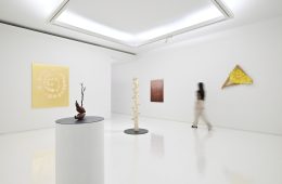 adf-web-magazine-shugoarts-sprout-clara-spilliaert-1