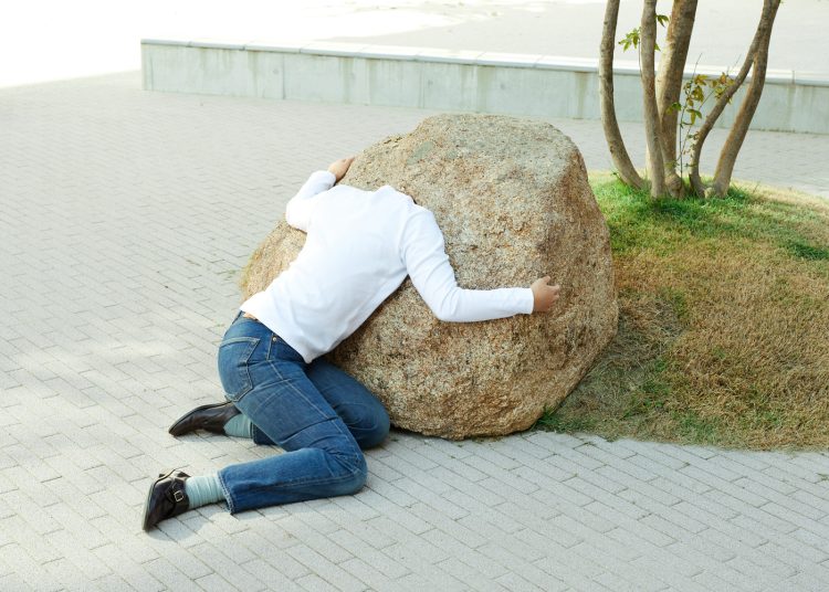 adf-web-magazine-tokyo-biennale-2025-2