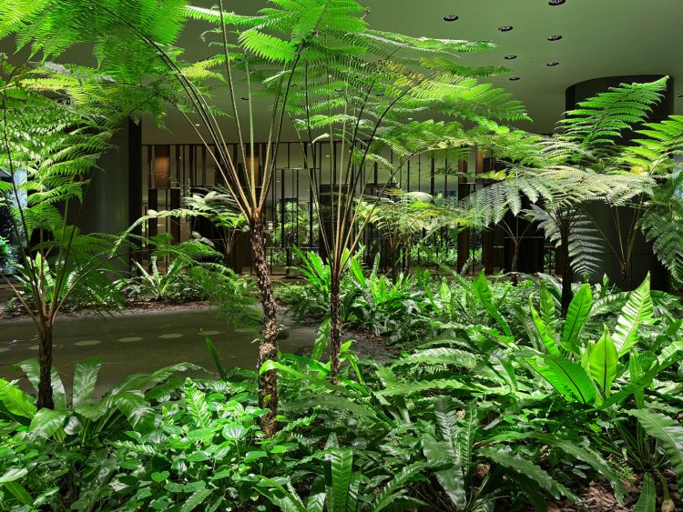 adf-web-magazine-zero-sunlight-1
