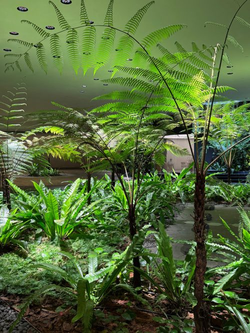 adf-web-magazine-zero-sunlight-5